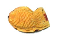 ���ŏĂ���Ă����Ȃ����Ⴄ�悧�[��