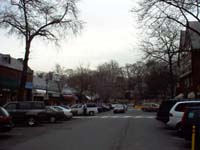 Scarsdale�̓~�i�F