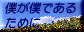 �l���l�� web page��